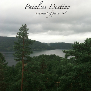 欧美国产成人在线
