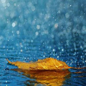 欧美国产成人在线
